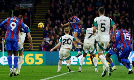 crystal palace 1 newcastle 1 le but tardif de munoz.jpg