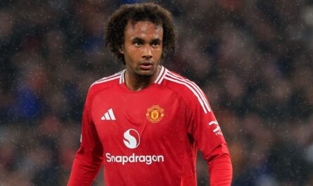 la carriere de joshua zirkzee a man utd pourrait se.jpg