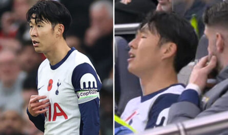 son heung min seffondre sur le banc de touche de tottenham.jpg