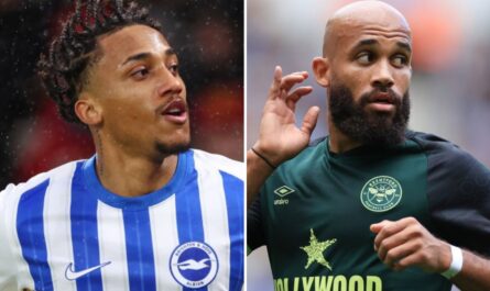 brighton vs brentford live score dernieres mises a jour de.jpg