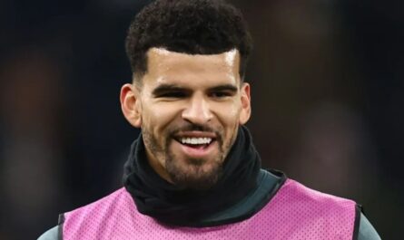 la star de tottenham dominic solanke revoyee a la maison.jpg