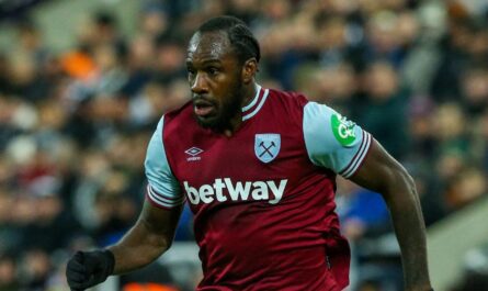 qui est lattaquant de west ham michail antonio la.jpg