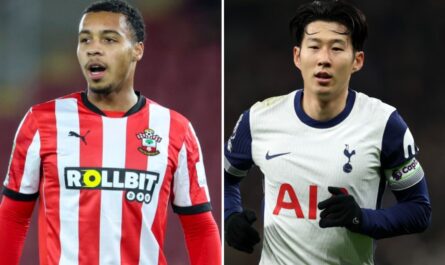 southampton vs tottenham live score mises a jour de la.jpg