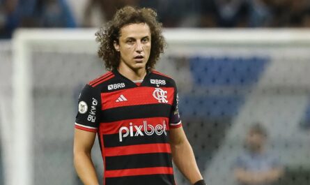 lancienne star de chelsea et darsenal david luiz a engage.jpg