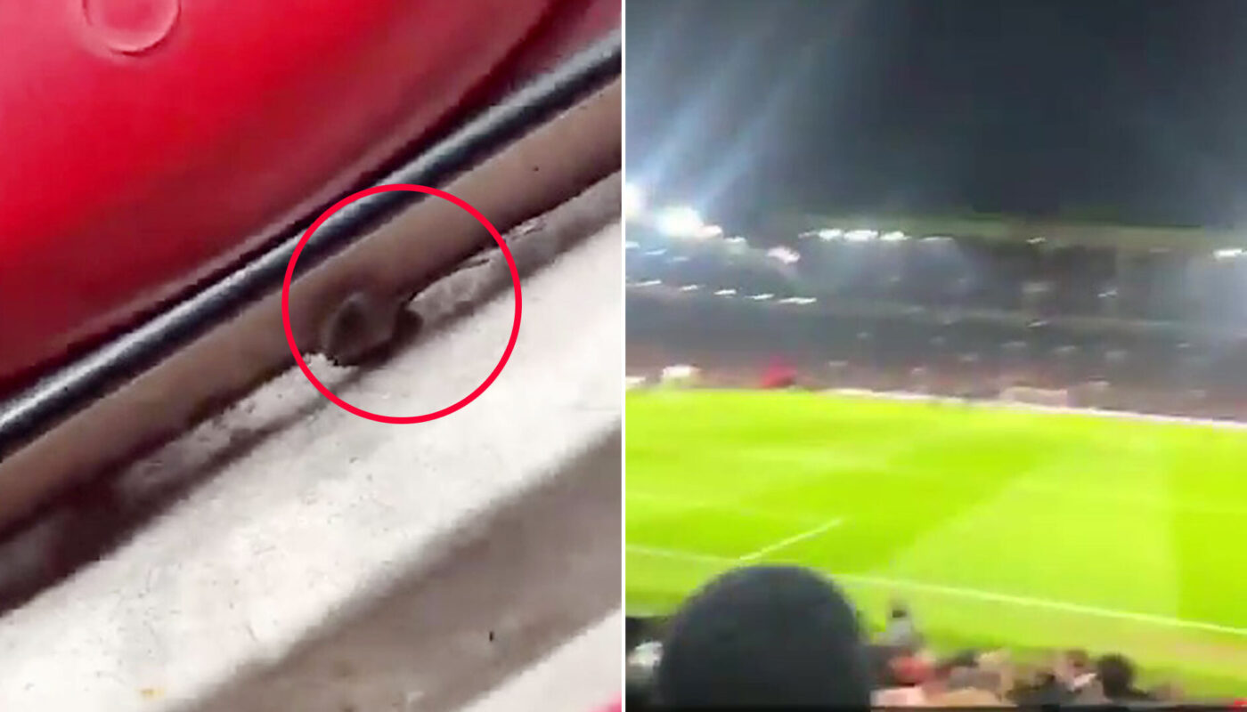 moment mouse est repere a old trafford lors de la.jpg