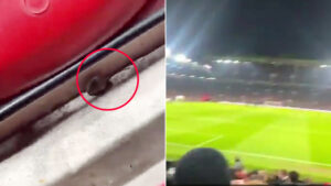 moment mouse est repere a old trafford lors de la.jpg