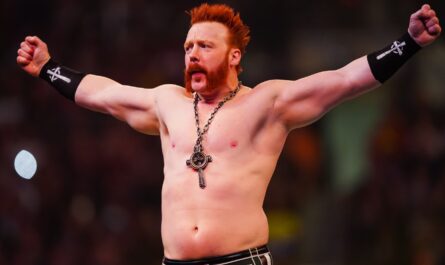 regardez un moment fou la legende de la wwe sheamus.jpg