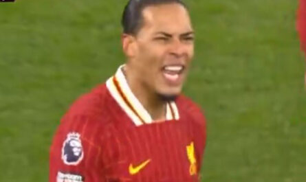 virgil van dijk surpris en train de crier.jpg